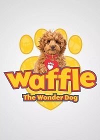 Вафлик - говорящий пес (2018) Waffle the Wonder Dog