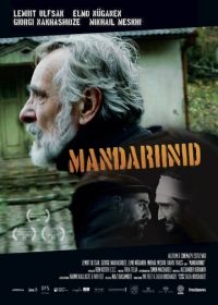 Мандарины (2013) Mandariinid