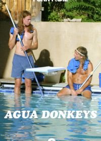 Водные ослы (2020) Agua Donkeys