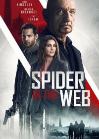 Старые шпионские игры (2019) Spider in the Web