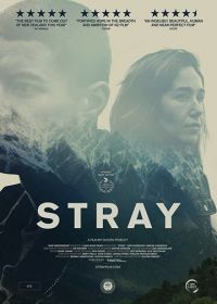 Заблудшие (2018) Stray