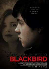Чёрный дрозд (2012) Blackbird