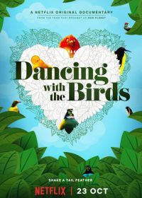 Танцы с птицами (2019) Dancing with the Birds