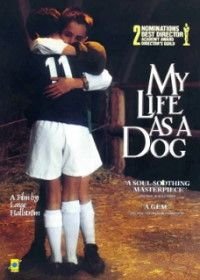 Моя собачья жизнь (1985) Mitt liv som hund