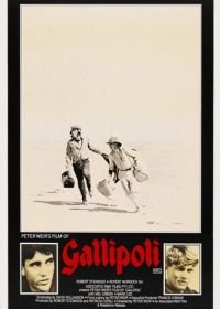 Галлиполи (1981) Gallipoli