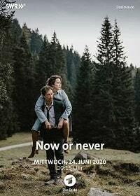 Сейчас или никогда (2019) Now or Never