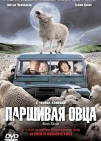 Паршивая овца (2006) Black Sheep