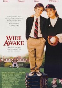 Пробуждение (1998) Wide Awake