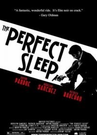Прекрасный сон (2009) The Perfect Sleep