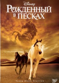 Рожденный в песках (2003) The Young Black Stallion