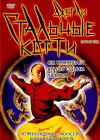 Стальные когти (1993) Wong Fei Hung V: Tit gai dau ng gung