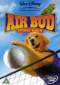 Король воздуха: Возвращение (2003) Air Bud: Spikes Back