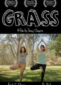 Травка (2017) Grass