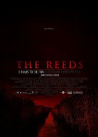 Тростник (2010) The Reeds