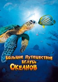 Большое путешествие вглубь океанов 3D (2009) OceanWorld 3D