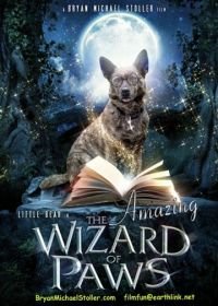 Удивительный волшебник из Лапы (2015) The Amazing Wizard of Paws