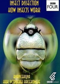 BBC. Вивисекция. Как устроены насекомые (2013) Insect Dissection: How Insects Work