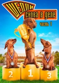 Шелли снова в деле: Часть 1 (2013) Wiener Dog Nationals