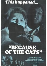 Из-за кошек (1973) Because of the Cats