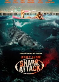 Нападение акул на Нью-Джерси (2012) Jersey Shore Shark Attack