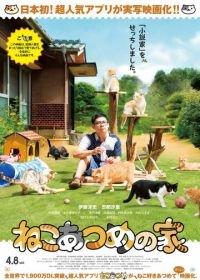 Дом кошек (2017) Neko atsume no ie