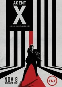 Агент Икс (2015) Agent X