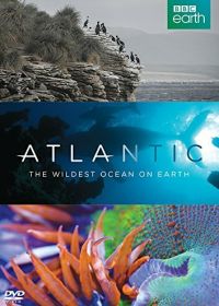 Атлантика: Самый необузданный океан на Земле (2015) Atlantic: The Wildest Ocean on Earth