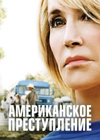 Американское преступление (2015-2017) American Crime