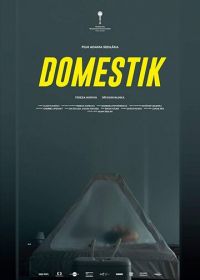 Домашний режим (2018) Domestik