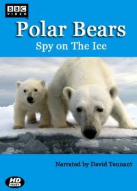 BBC. Белый медведь: Шпион во льдах (2011) Polar Bears: Spy on the Ice