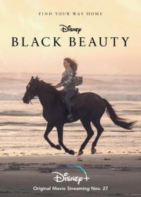 Чёрный Красавец (2020) Black Beauty