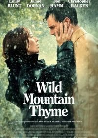 Дикая парочка (2020) Wild Mountain Thyme