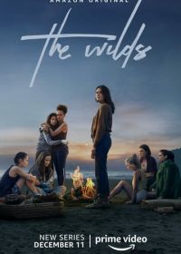 Дикарки (2020) The Wilds