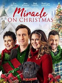 Рождественское Чудо (2020) Miracle on Christmas