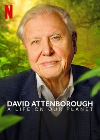 Дэвид Аттенборо: Жизнь на нашей планете (2020) David Attenborough: A Life on Our Planet