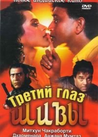 Третий глаз Шивы (1991) Trinetra