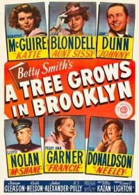 Дерево растет в Бруклине (1945) A Tree Grows in Brooklyn