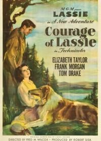 Храбрость Лэсси (1946) Courage of Lassie