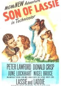 Сын Лесси (1945) Son of Lassie