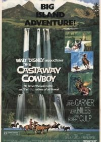 Ковбой издалека (1974) The Castaway Cowboy