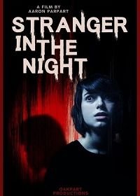 Незнакомец в ночи (2019) Stranger in the Night