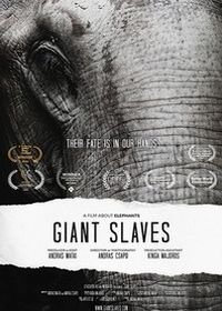 Порабощенные гиганты. Фильм о слонах (2020) Giant Slaves - A film about Elephants
