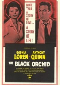 Черная орхидея (1958) The Black Orchid