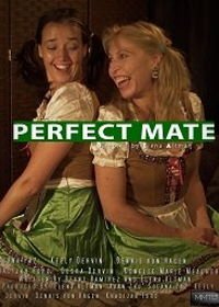 Идеальная пара (2020) Perfect Mate