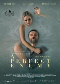 Идеальный враг (2020) A Perfect Enemy