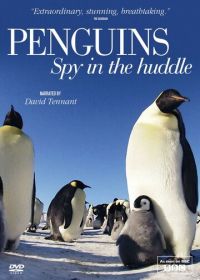 Пингвины: Шпион в толпе (2013) Penguins: Spy in the Huddle