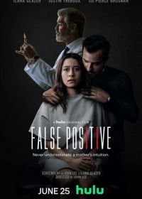 Ложноположительный (2021) False Positive