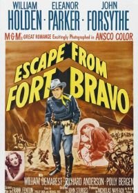 Побег из Форта Браво (1953) Escape from Fort Bravo