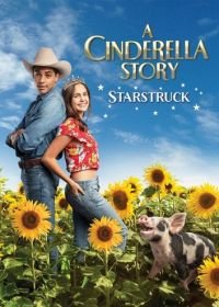 История Золушки: Встреча со звездой (2021) A Cinderella Story: Starstruck