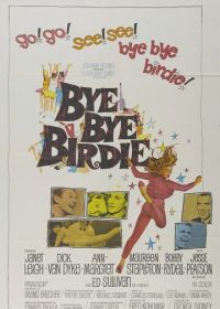 Пока, пташка (1963) Bye Bye Birdie